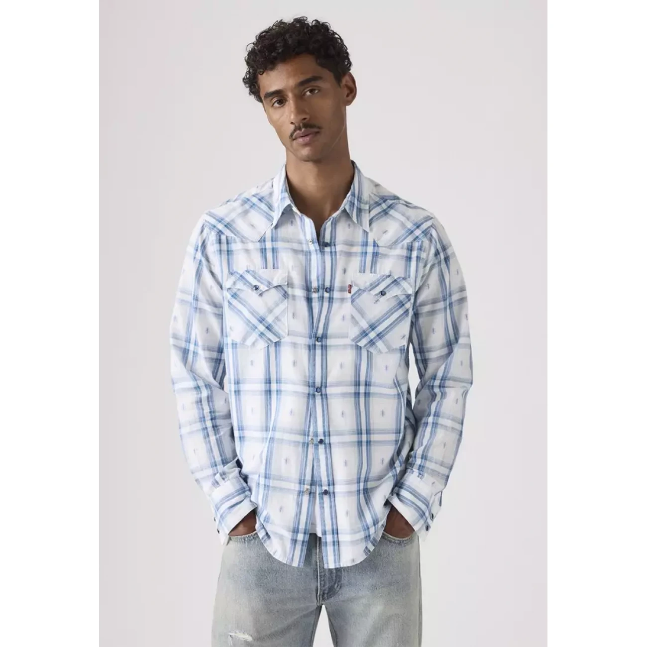85744-0120 Levis farmer ing