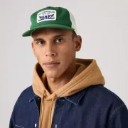 007yq-0002 Levis sapka