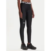 Under Armour leggings