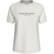 product-calvin_klein-Calvin Klein póló-J20J224914YBI